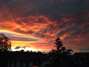 Because it’s so pretty&nbsp;{treasure}